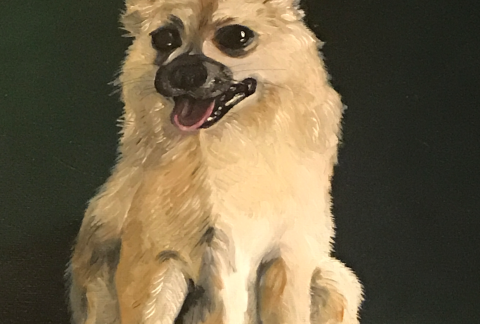 "Taz" Painting of a little doggie by www.PicosPelegri.com South Beach Miami