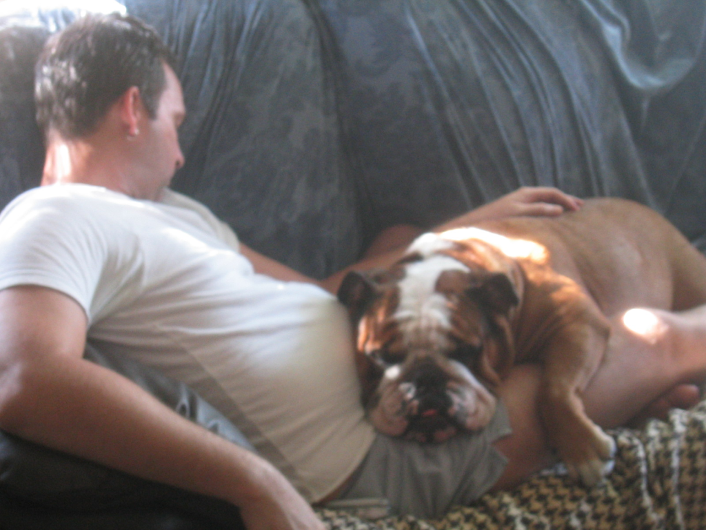 From Photo To Art.  A Picture of a man on couch with A British Bulldog on lap sleeping.  Painting by www.PicosPelegri.com  South Beach Miami 