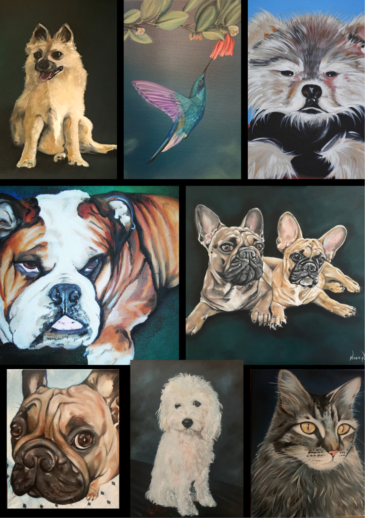 Various Pet Pop Art by wwwPicosPelegricom South Beach Miami