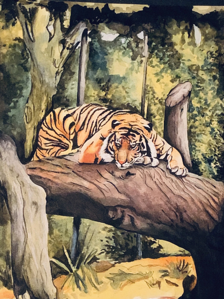 A tiger resting on a large branch in a leafy forest, above warm-toned water.