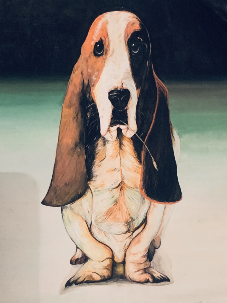 A front-facing basset hound with long ears against a dark blue and pale green background.