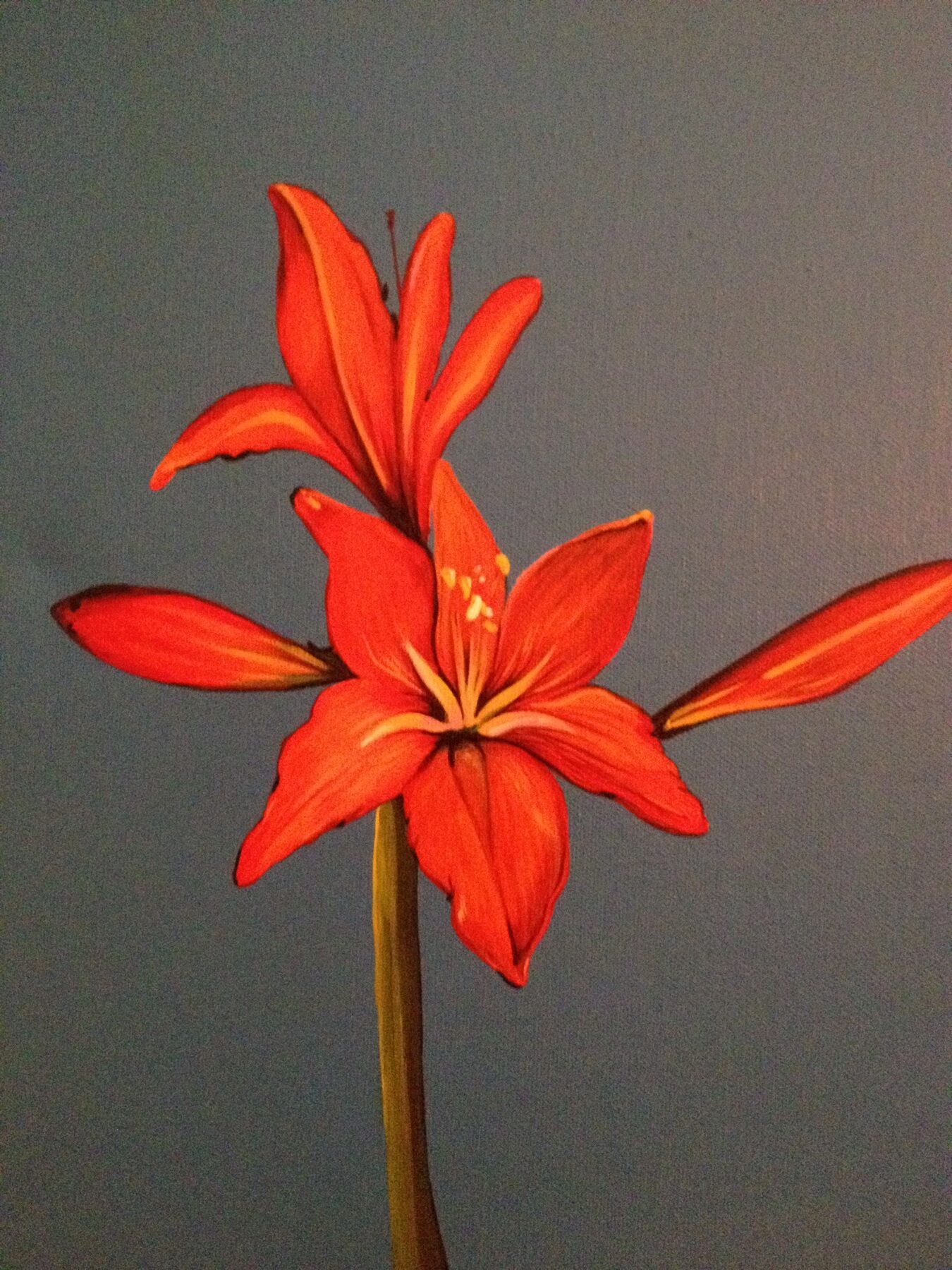 Red Lily — artwork by Mariano Picos Pelegri