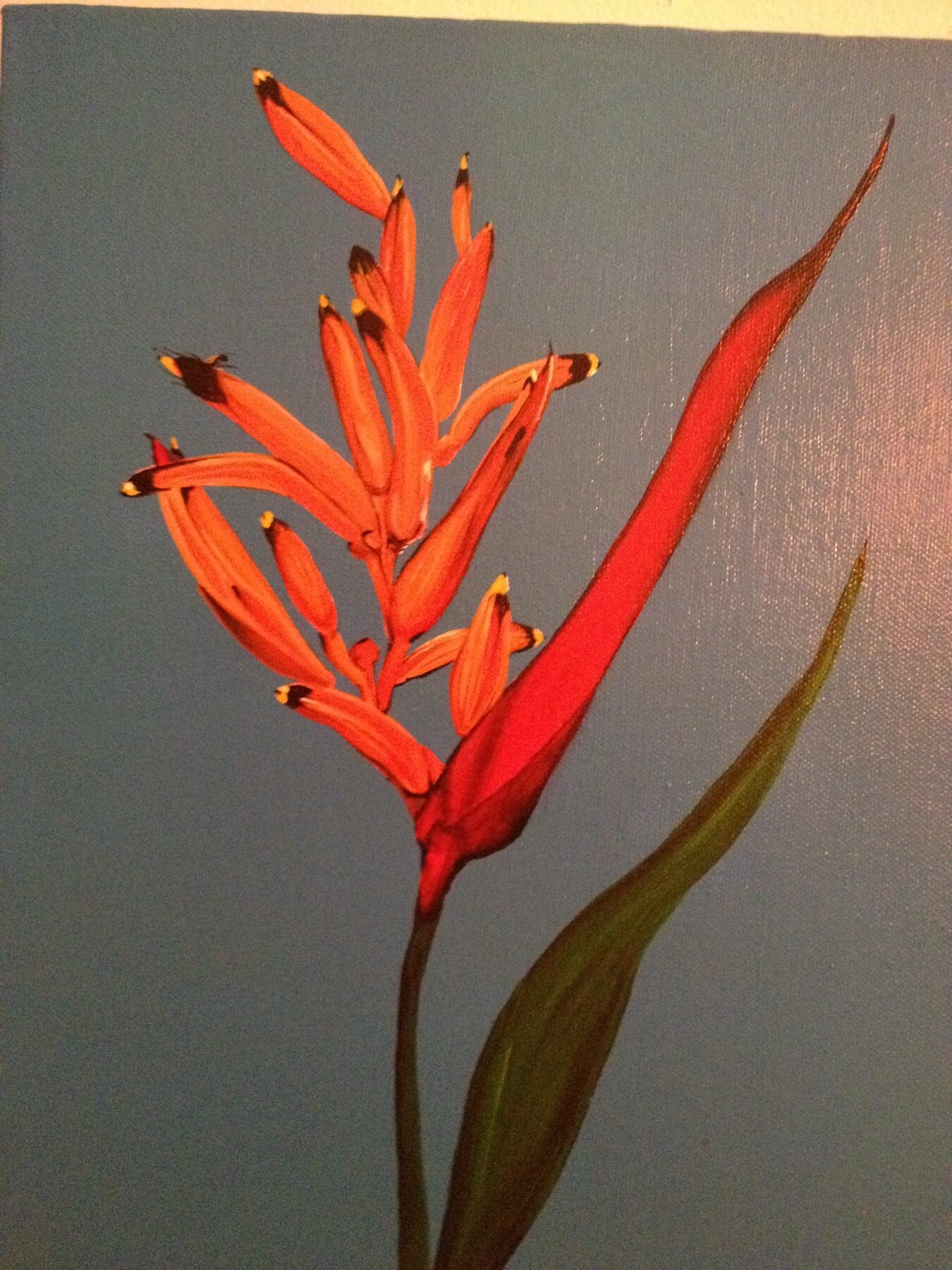 Bird of Paradise — artwork by Mariano Picos Pelegri