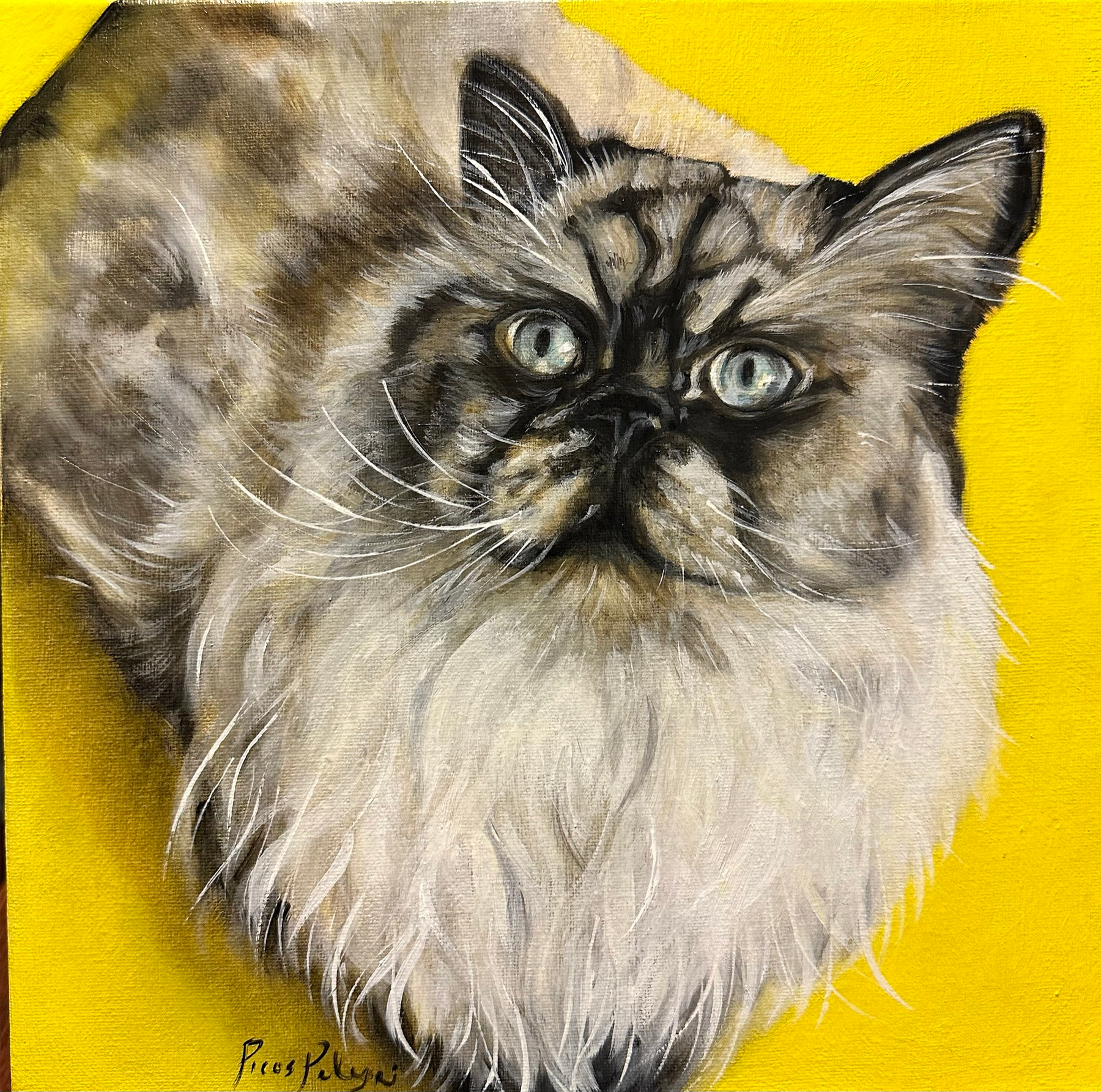 Cat Portrait — artwork by Mariano Picos Pelegri