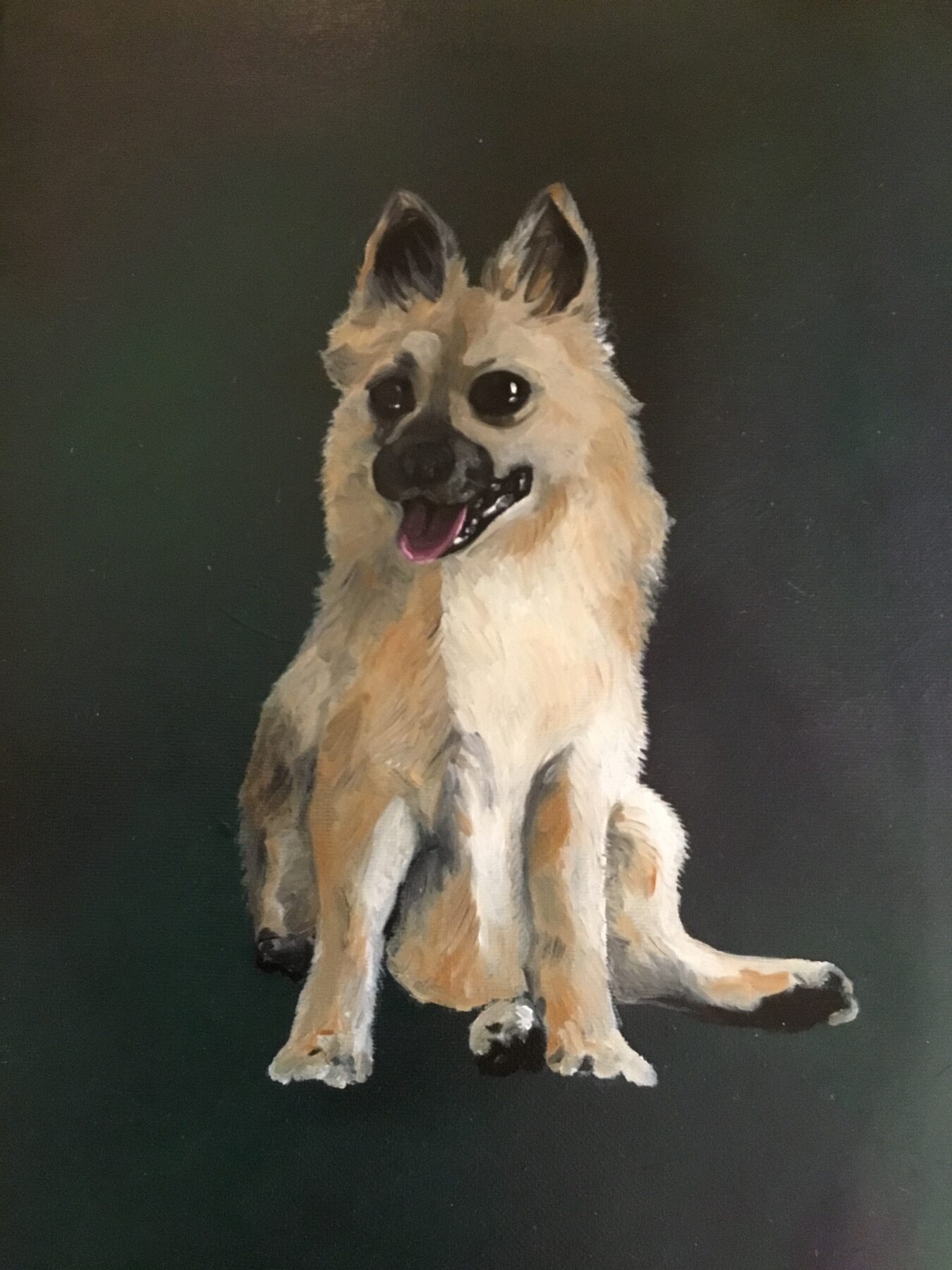 German Shepherd — artwork by Mariano Picos Pelegri